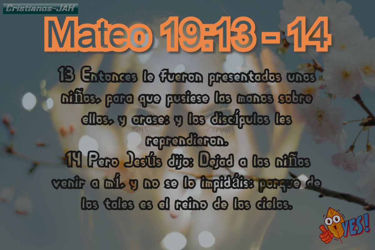 Mateo-19-13-14